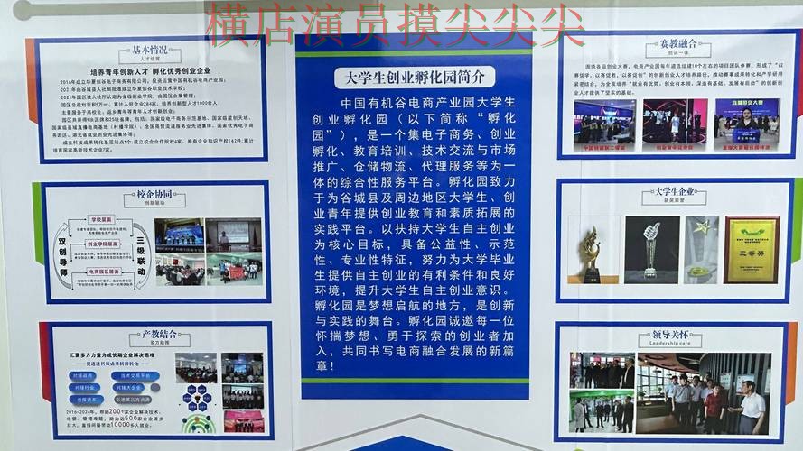 世界杯投注平台全面分析合集：覆盖数据分析+直播与入口方式 - World Cup 2026