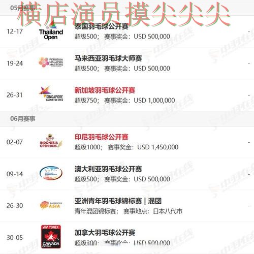 FIFA World Cup 2026背景下的世界杯买球网站汇总与访问方式直播解析